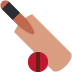 :cricket_game: