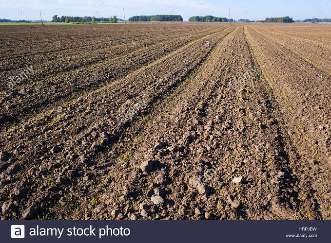 gepflugtes-feld-mit-traktor-spuren-im-herbst-hrpjbw