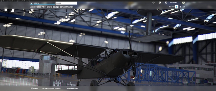 Microsoft Flight Simulator Screenshot 2020.11.05 - 17.35.35.91