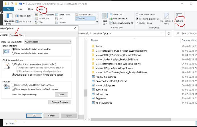 MSFSFolder_2