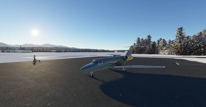 Microsoft Flight Simulator 3_1_2021 8_48_58 AM