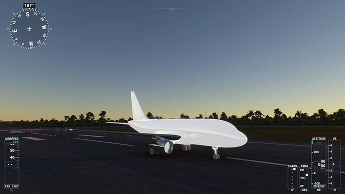 Microsoft Flight Simulator 11_01_2021 21_20_20