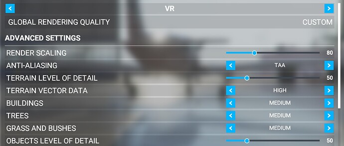 MSFS Settings 1