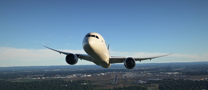 Microsoft Flight Simulator 2020-11-03 2_49_46 PM