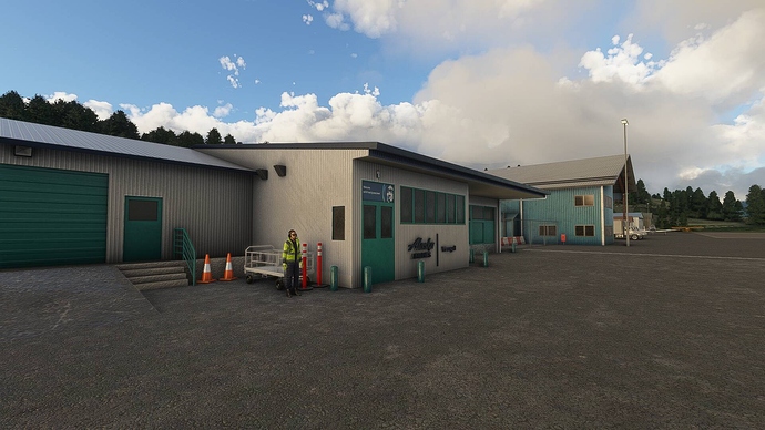 Microsoft Flight Simulator 30_10_2020 16_30_20