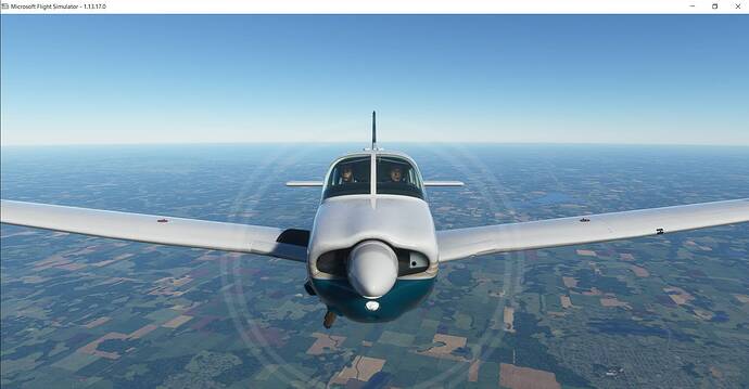 Microsoft Flight Simulator 3_5_2021 12_09_17 AM