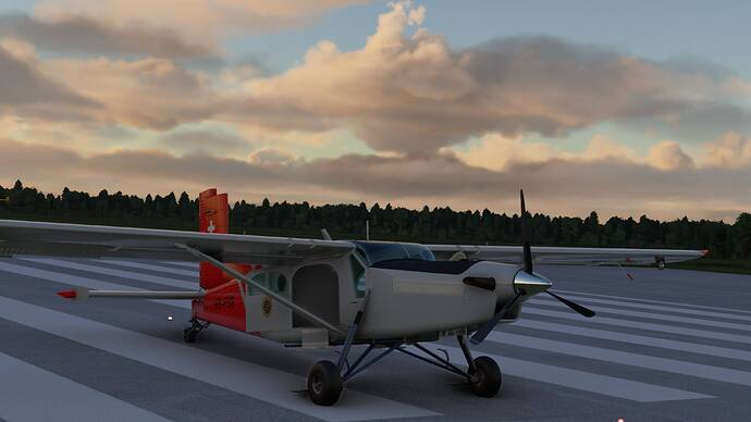 WIP29