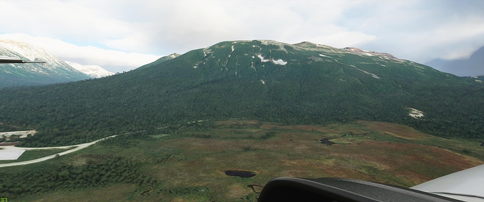 Microsoft Flight Simulator 10_24_2020 5_12_23 PM