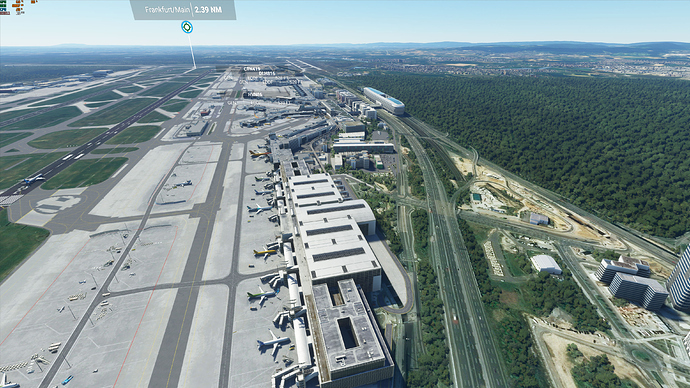 Microsoft Flight Simulator 8_20_2020 9_33_23 AM