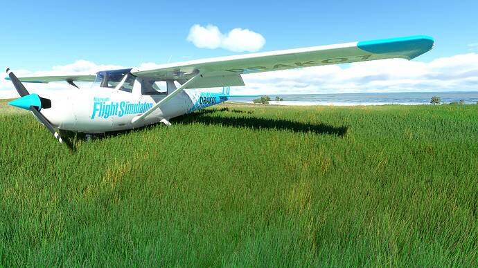 Microsoft Flight Simulator Super-Resolution 2021.03.27 - 12.04.44.08