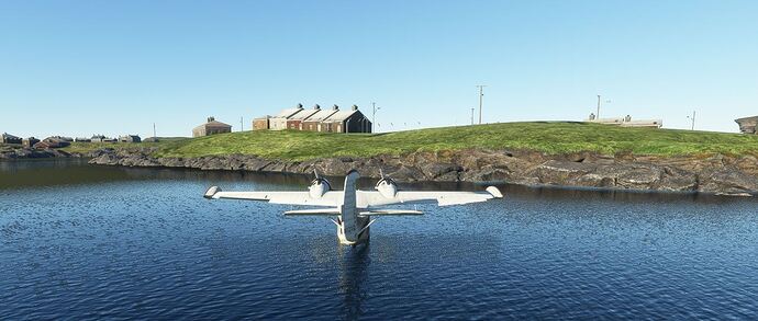 GooseWaterLanding