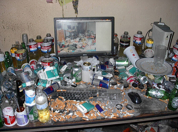 GamerShutin