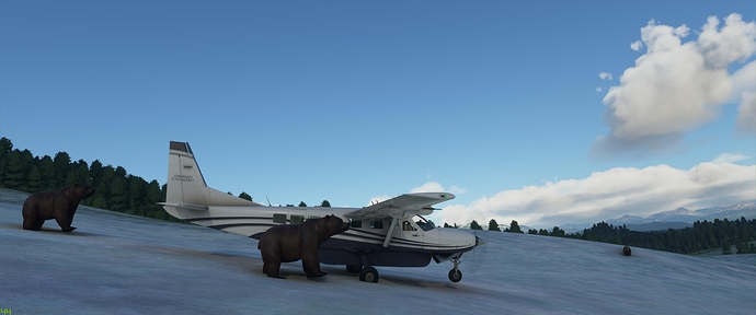 Microsoft Flight Simulator 10_24_2020 5_04_30 PM