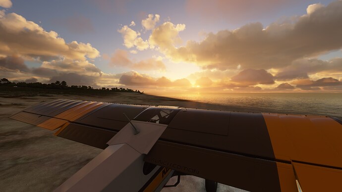 FlightSimulator_yn7wg5Q0GD