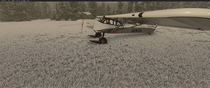 Microsoft Flight Simulator 12_30_2020 6_40_19 PM