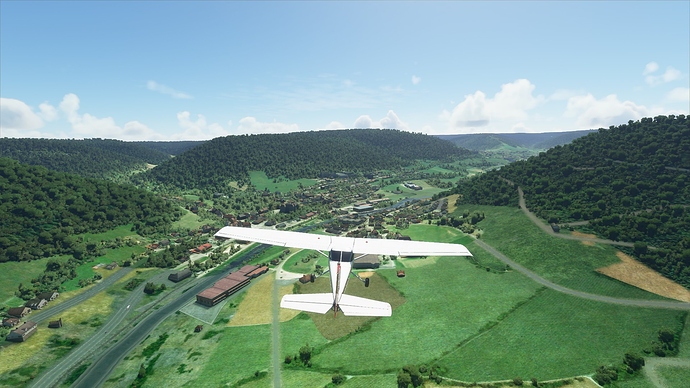 schwarzwald (1)