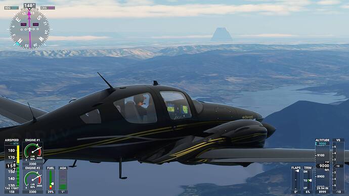 Microsoft Flight Simulator 08_02_2021 20_33_54