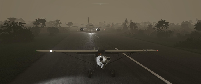 Microsoft Flight Simulator 11_8_2020 2_30_57 PM