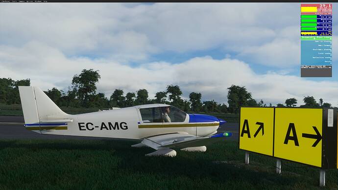 Microsoft Flight Simulator 18_02_2021 1_01_42