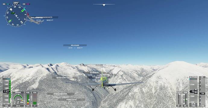 Microsoft Flight Simulator Screenshot 2021.01.08 - 19.59.40.06