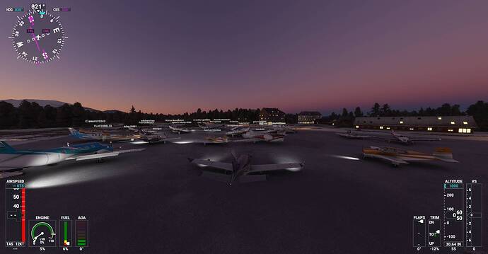 Microsoft Flight Simulator Screenshot 2021.01.24 - 22.37.38.33