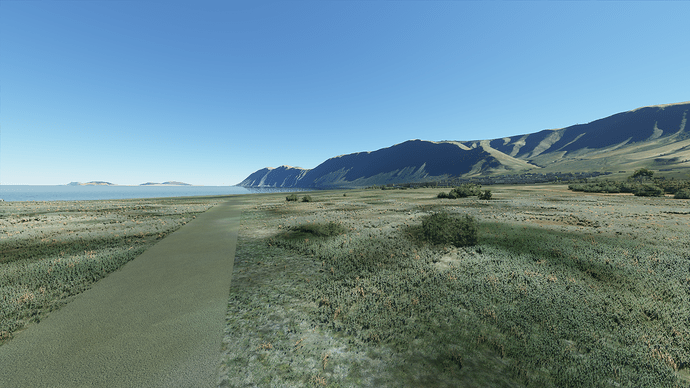 1250410_20200829193427_1