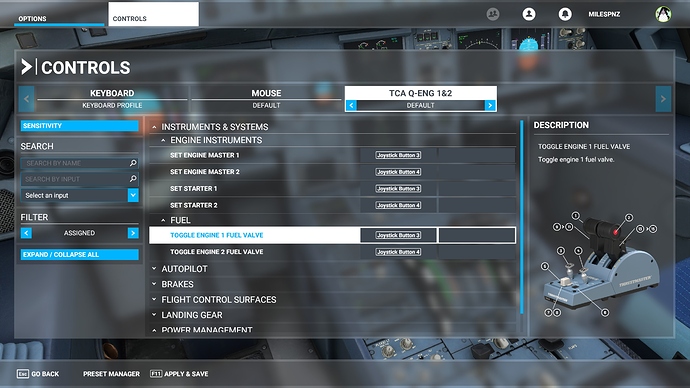 Engine Settings FS
