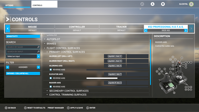Microsoft Flight Simulator 8_21_2020 11_02_46 PM