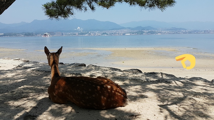 itsukushima