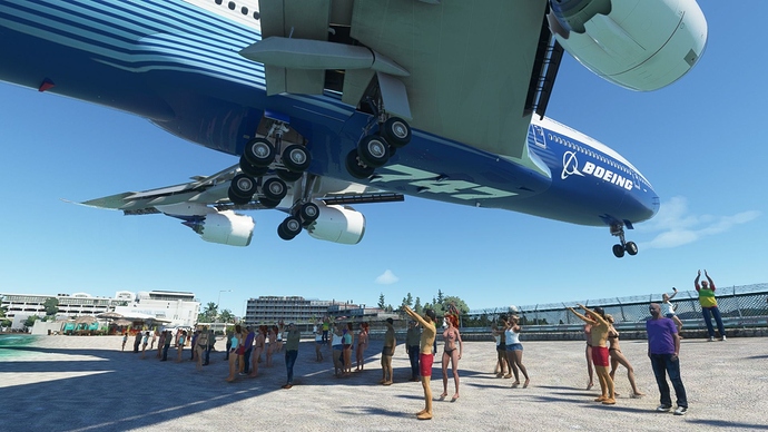 Microsoft Flight Simulator