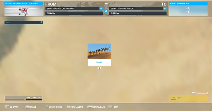camels1