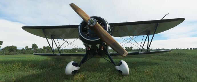 Microsoft Flight Simulator 1_18_2021 10_00_03 PM