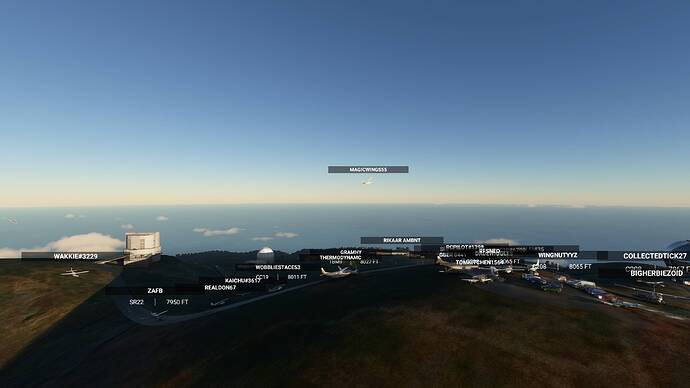 Microsoft Flight Simulator 03.04.2021 20_19_14_Bildgröße ändern