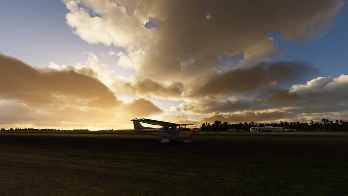 Microsoft Flight Simulator 2021-05-05 14_38_24