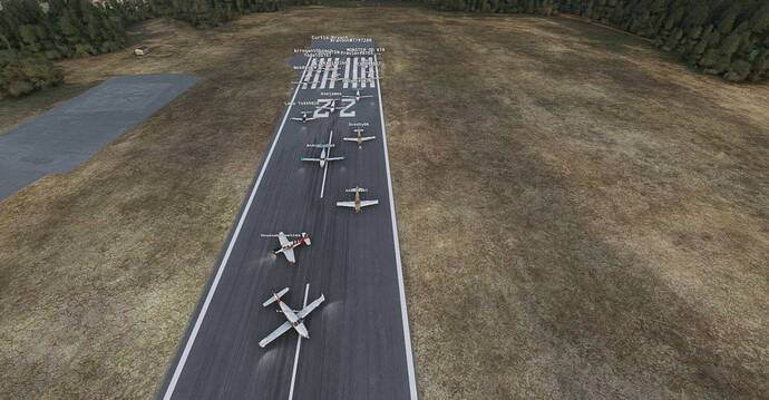 Microsoft Flight Simulator Screenshot 2021.01.24 - 19.39.10.36