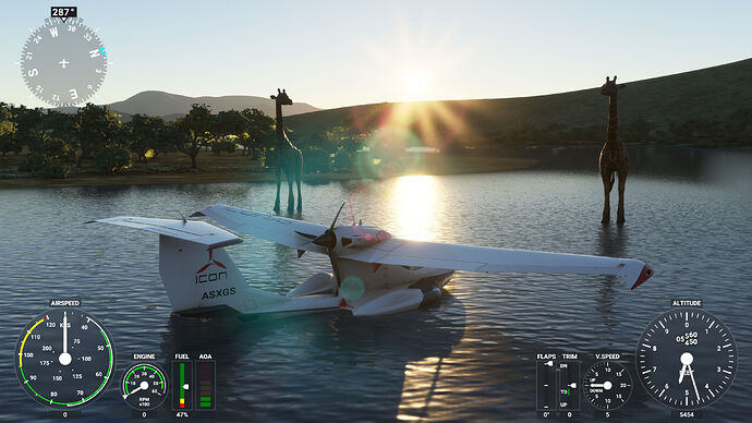 Microsoft Flight Simulator 21_11_2020 23_06_04-1