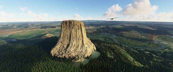 Microsoft Flight Simulator 11_24_2020 5_40_21 PM