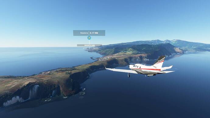 Microsoft Flight Simulator 22_01_2021 11_37_49