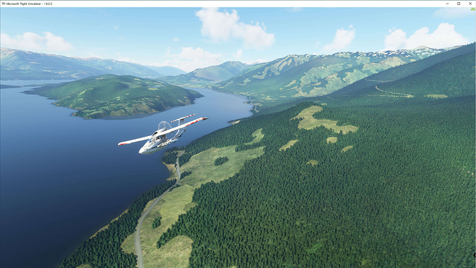 FS2020 2020-10-10 174