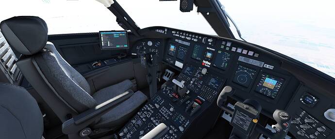 FlightSimulator_2021_03_23_20_01_09_113