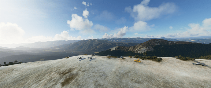 Microsoft Flight Simulator 9_5_2020 1_54_34 PM