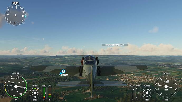 Microsoft Flight Simulator 2020_12_29 17_32_02