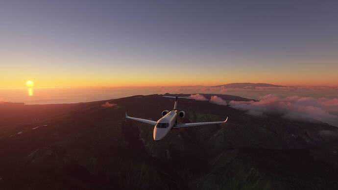 Microsoft Flight Simulator 11_17_2020 9_40_10 PM