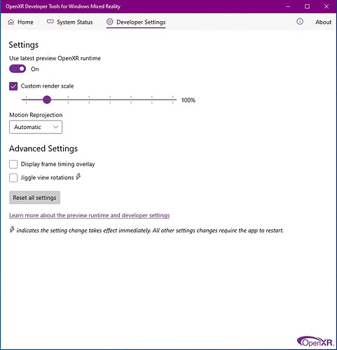 Open XR settings