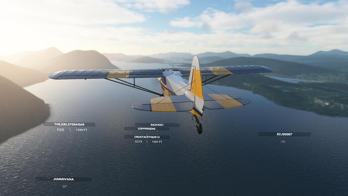 Microsoft Flight Simulator Screenshot 2021.03.19 - 23.26.02.60