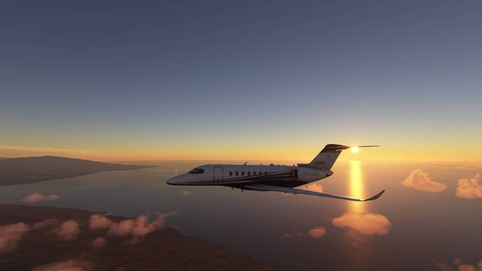 Microsoft Flight Simulator 11_17_2020 9_35_45 PM