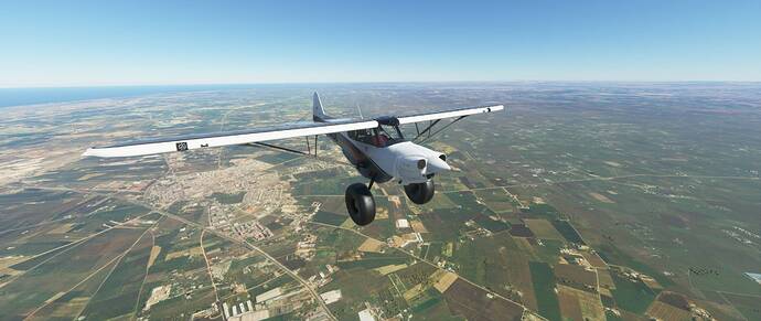 Microsoft Flight Simulator 1_4_2021 8_59_23 AM