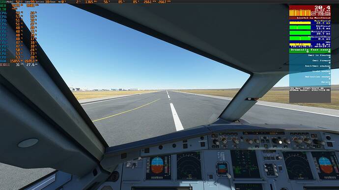 Microsoft Flight Simulator 11_17_2020 9_29_32 AM