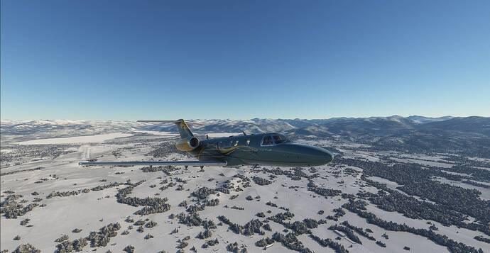 Microsoft Flight Simulator 3_1_2021 8_55_07 AM