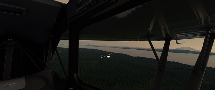 Microsoft Flight Simulator 11_8_2020 3_44_01 PM